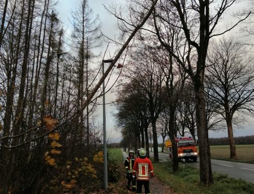 Herbststurm fordert die Feuerwehren des Landkreises