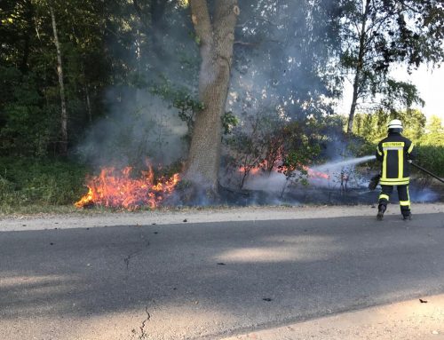 Anhaltende Hitze erhöht Wald- und Vegetationsbrandgefahr – Feuerwehr ruft zu besonderer Vorsicht auf