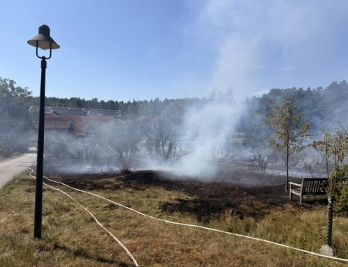 Wald- und Flächenbrand an der Waldklinik in Jesteburg